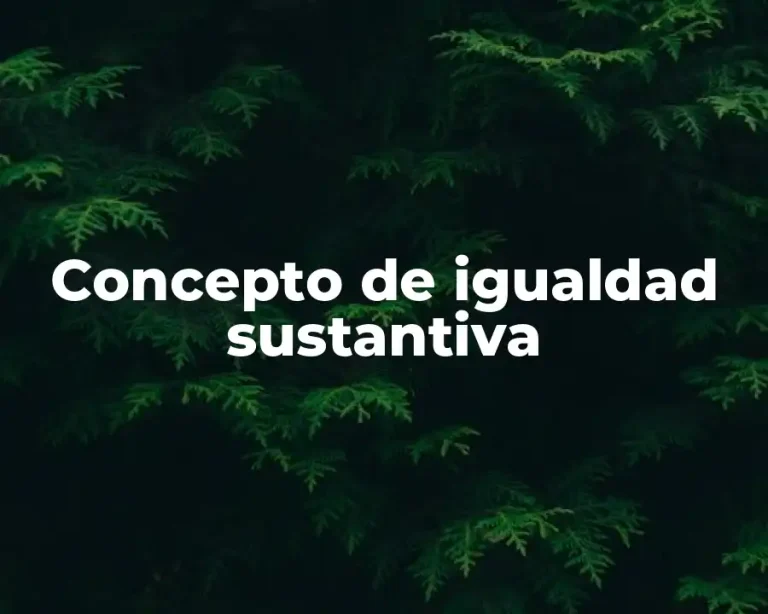 Concepto de igualdad sustantiva