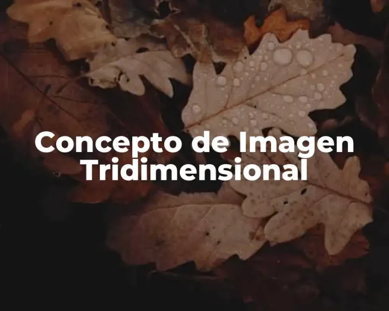 Concepto de Imagen Tridimensional