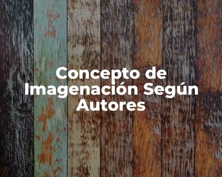 Concepto de Imagenación Según Autores