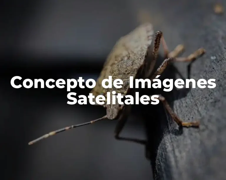 Concepto de Imágenes Satelitales