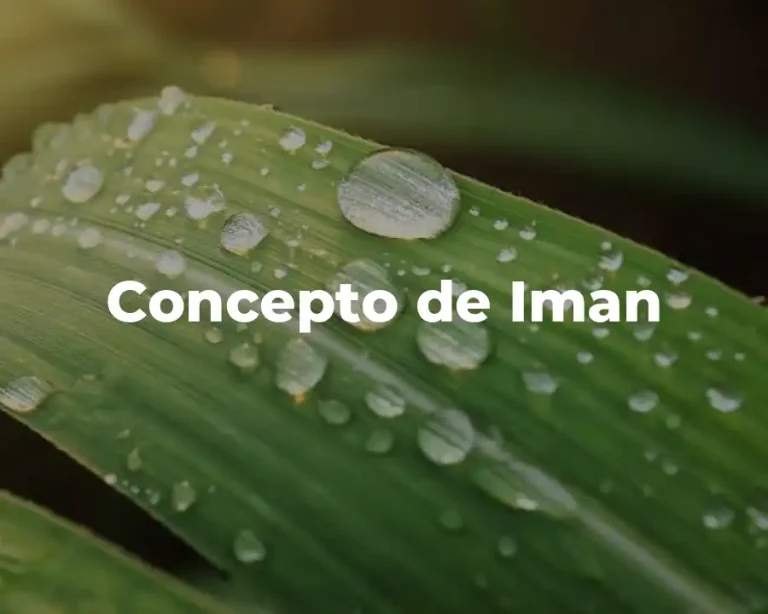 Concepto de Iman