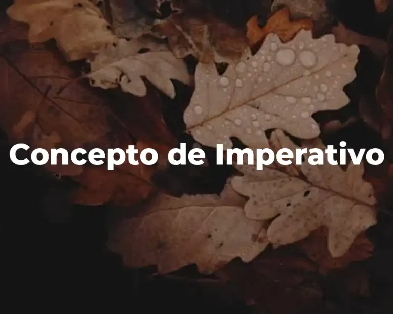 Concepto de Imperativo