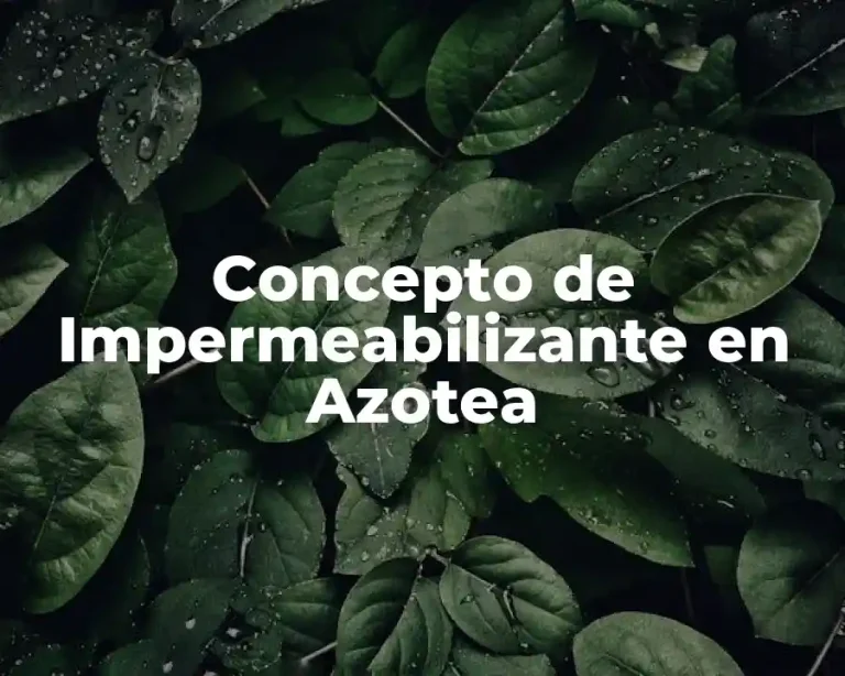 Concepto de Impermeabilizante en Azotea