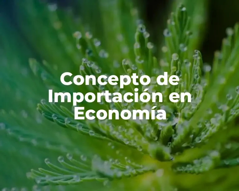Concepto de Importación en Economía