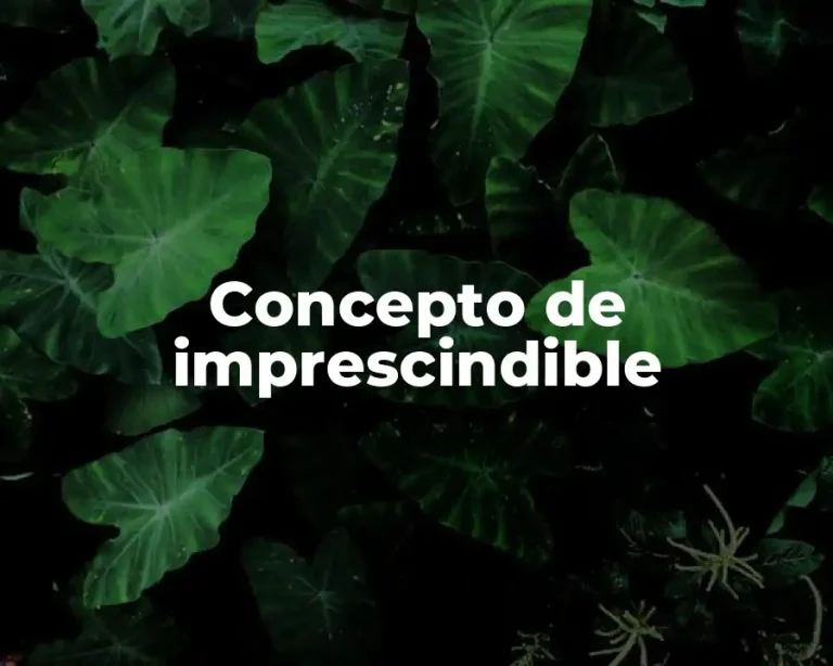 Concepto de imprescindible
