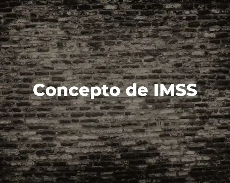 Concepto de IMSS
