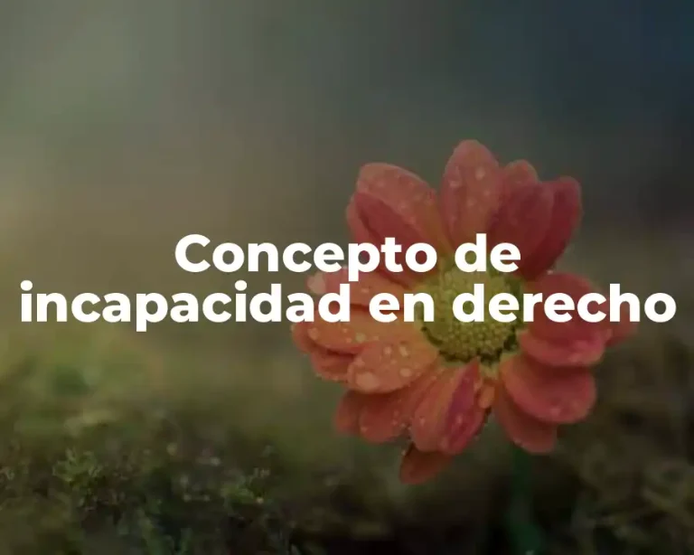 Concepto de incapacidad en derecho