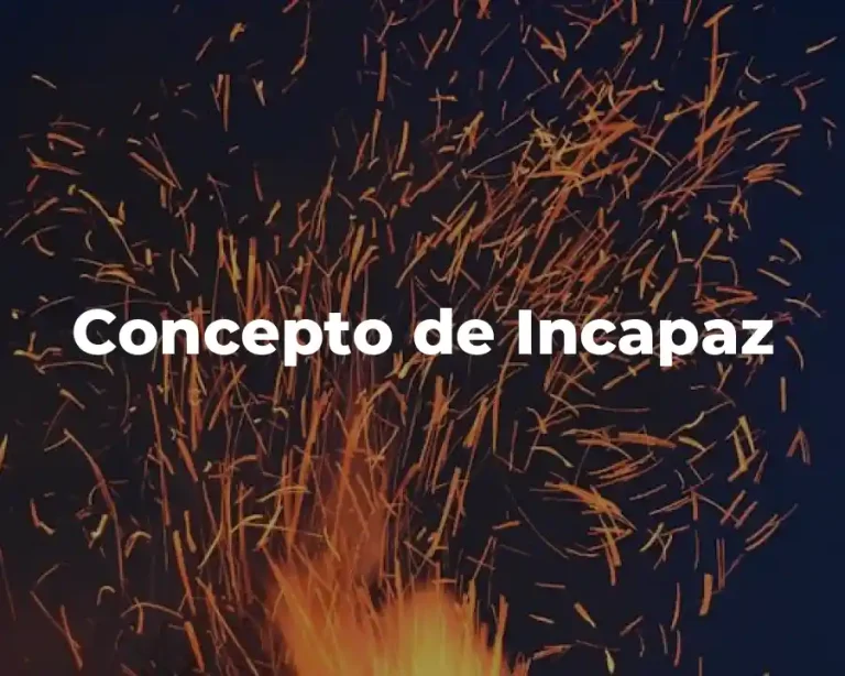 Concepto de Incapaz