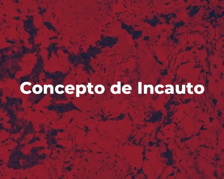 Concepto de Incauto