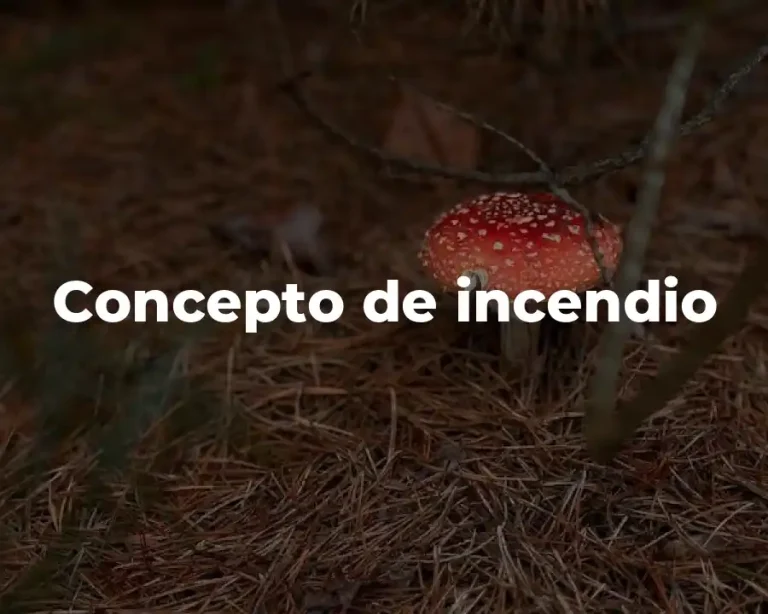 Concepto de incendio