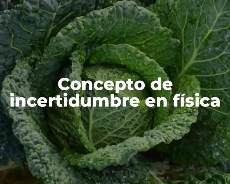 Concepto de incertidumbre en física