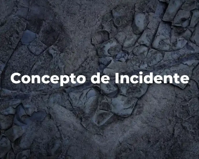 Concepto de Incidente