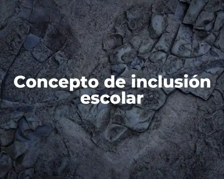 Concepto de inclusión escolar