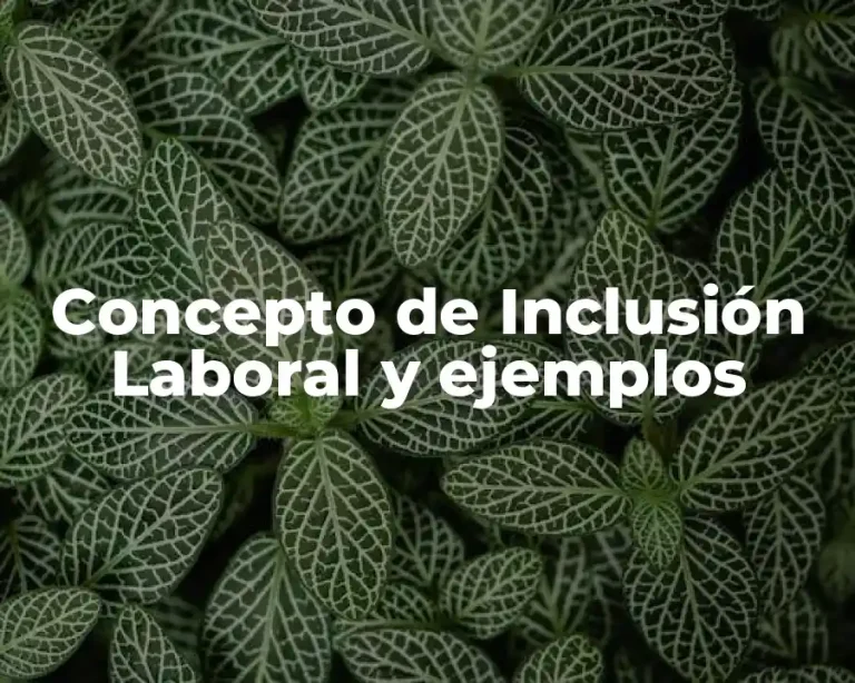 Concepto de Inclusión Laboral y ejemplos