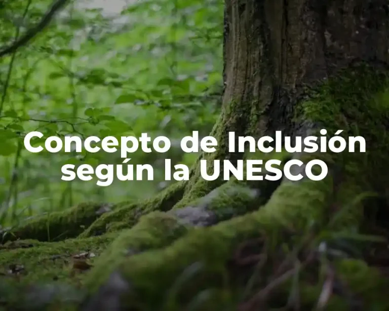 Concepto de Inclusión según la UNESCO