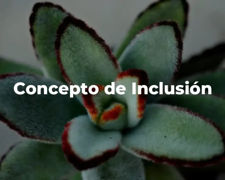 Concepto de Inclusión