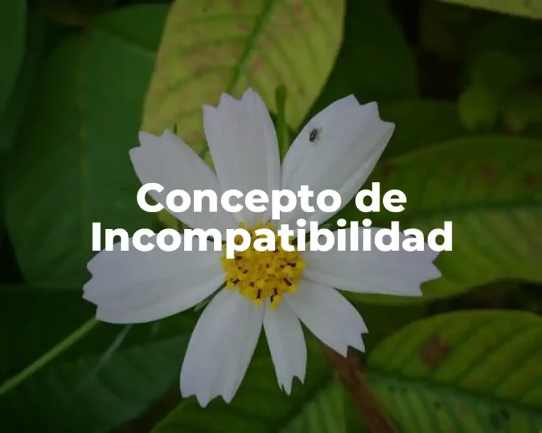 Concepto de Incompatibilidad