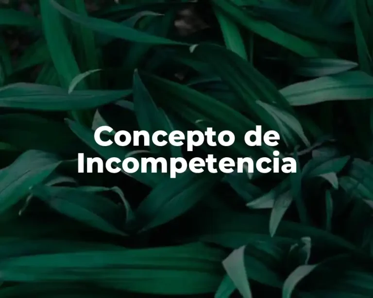 Concepto de Incompetencia