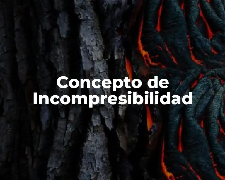 Concepto de Incompresibilidad