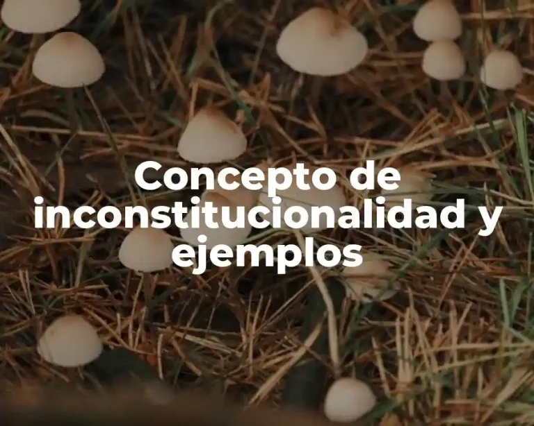 Concepto de inconstitucionalidad y ejemplos
