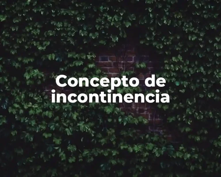 Concepto de incontinencia