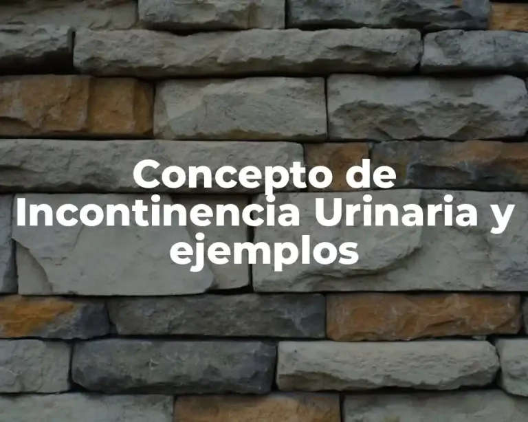 Concepto de Incontinencia Urinaria y ejemplos