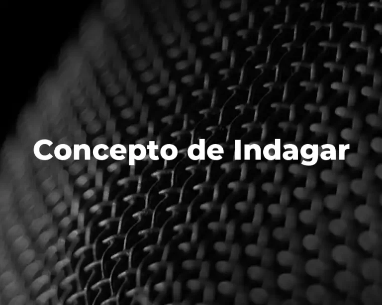 Concepto de Indagar