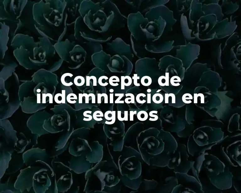 Concepto de indemnización en seguros