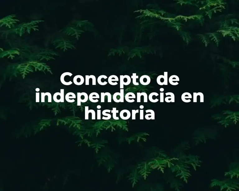 Concepto de independencia en historia