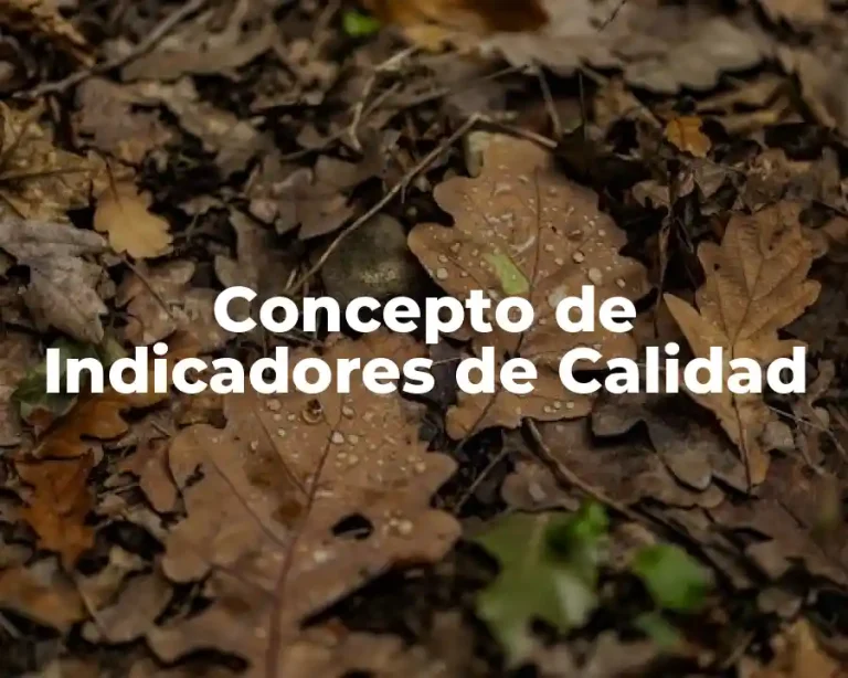 Concepto de Indicadores de Calidad
