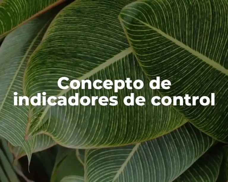 Concepto de indicadores de control