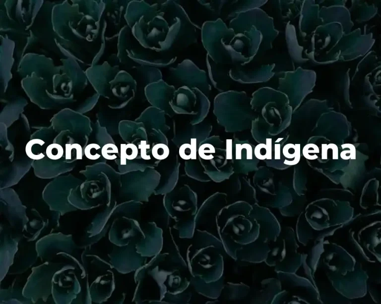 Concepto de Indígena