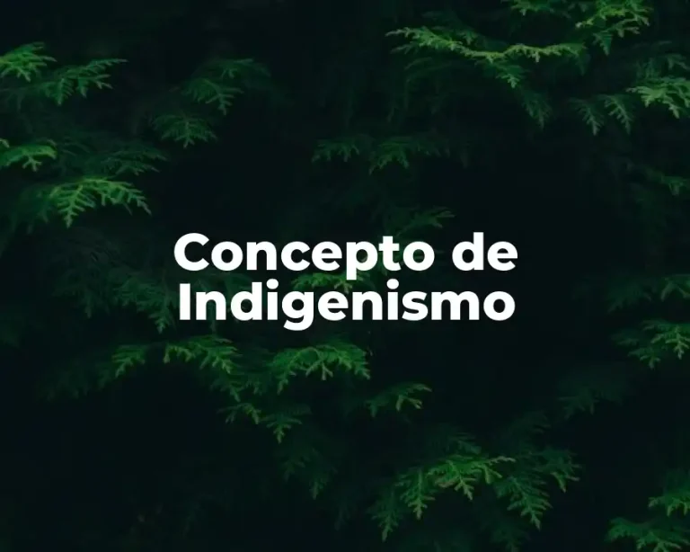 Concepto de Indigenismo