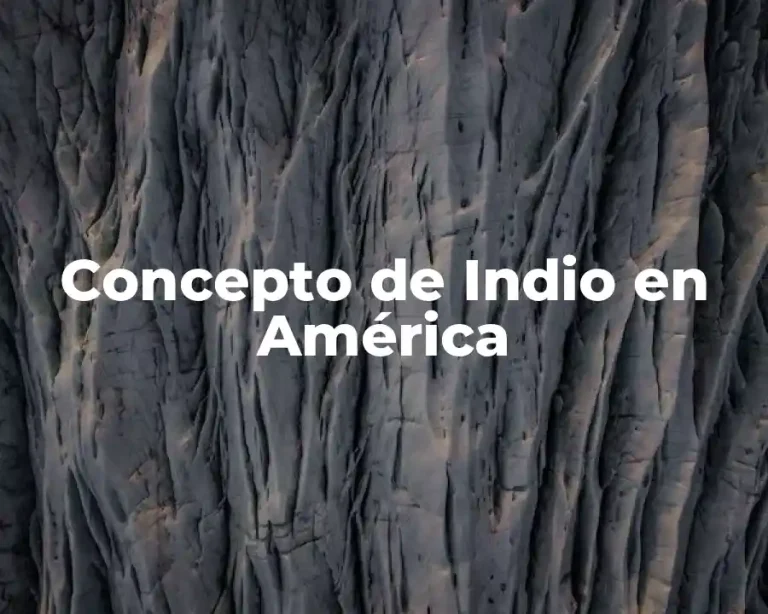 Concepto de Indio en América