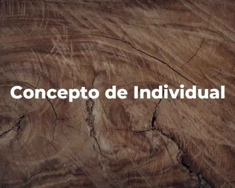 Concepto de Individual