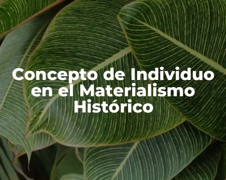 Concepto de Individuo en el Materialismo Histórico