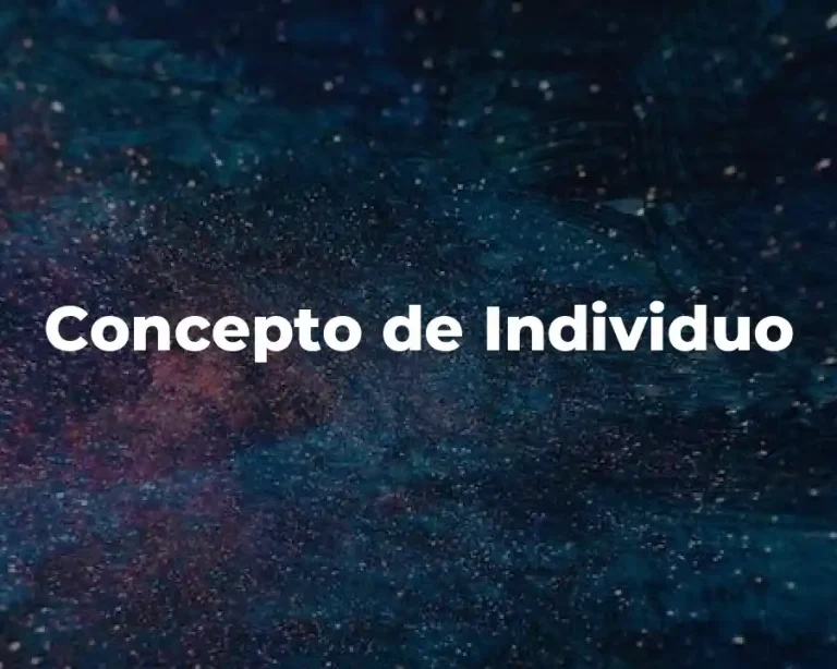 Concepto de Individuo