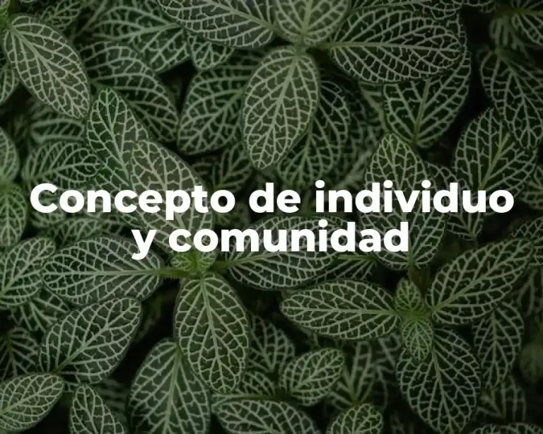 Concepto de individuo y comunidad