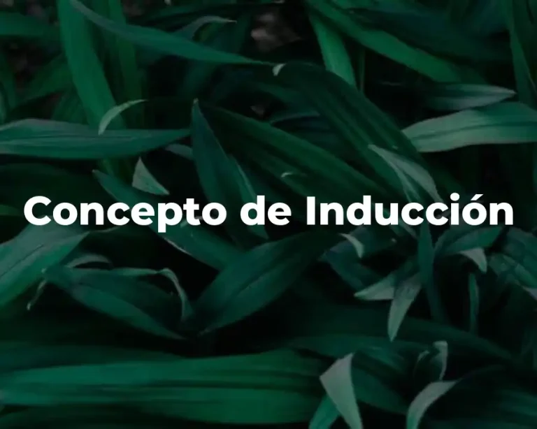 Concepto de Inducción