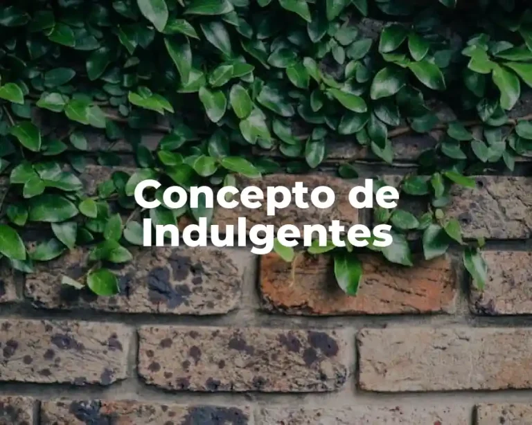 Concepto de Indulgentes
