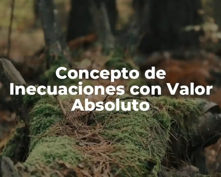 Concepto de Inecuaciones con Valor Absoluto