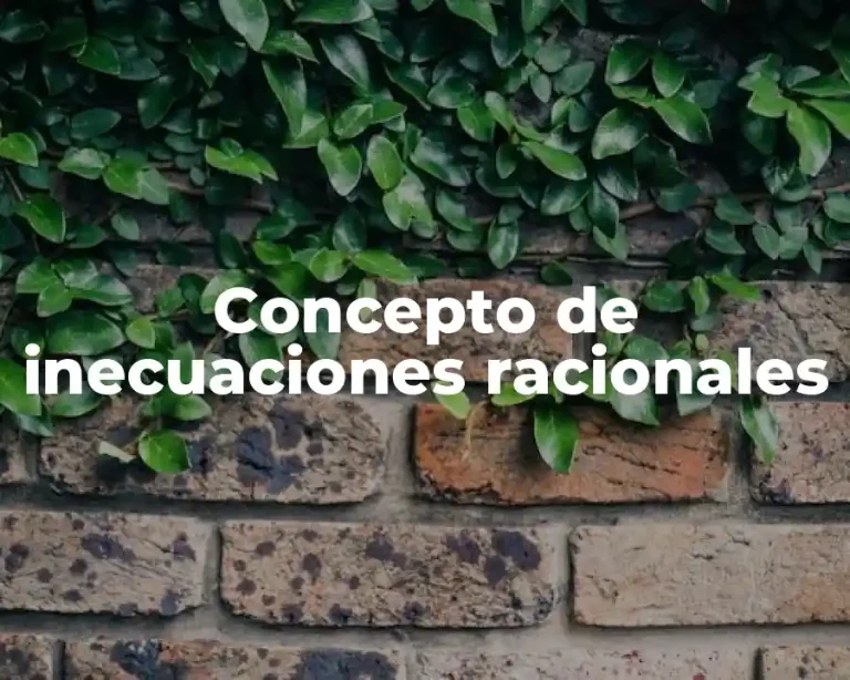 Concepto de inecuaciones racionales
