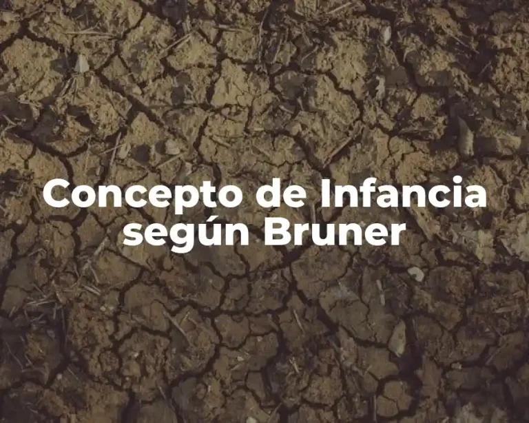 Concepto de Infancia según Bruner