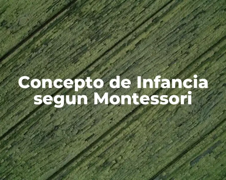Concepto de Infancia segun Montessori