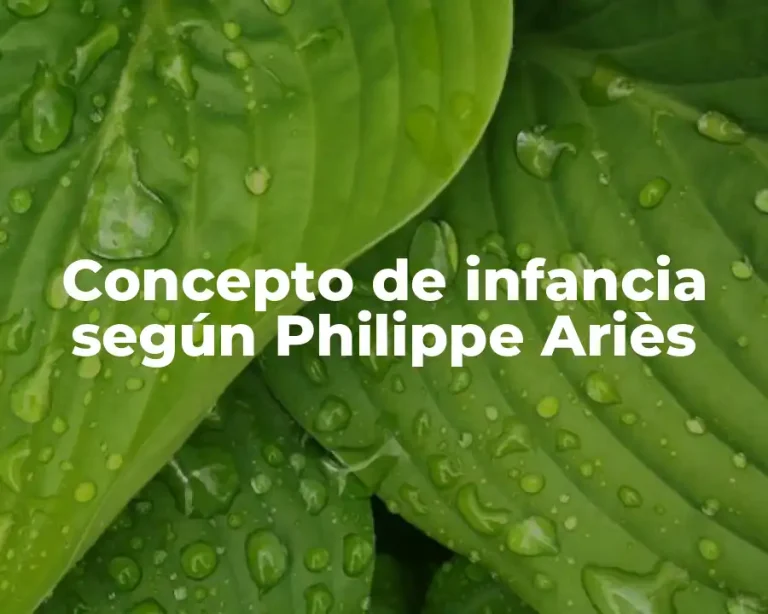 Concepto de infancia según Philippe Ariès