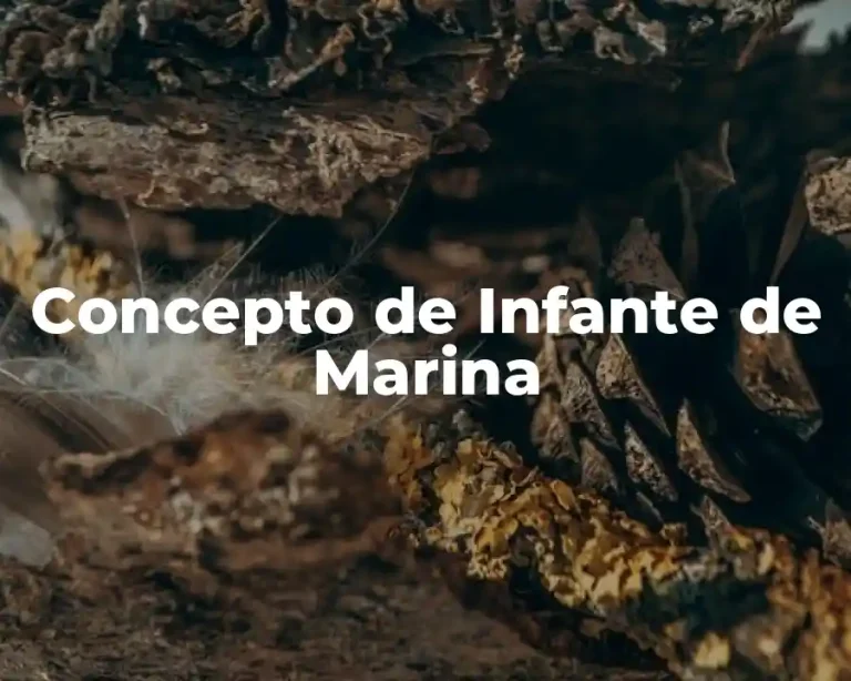 Concepto de Infante de Marina