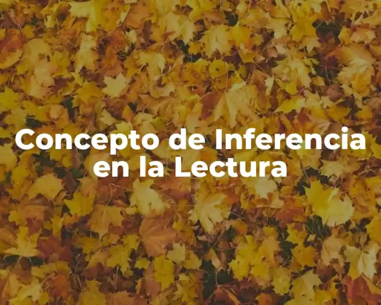 Concepto de Inferencia en la Lectura