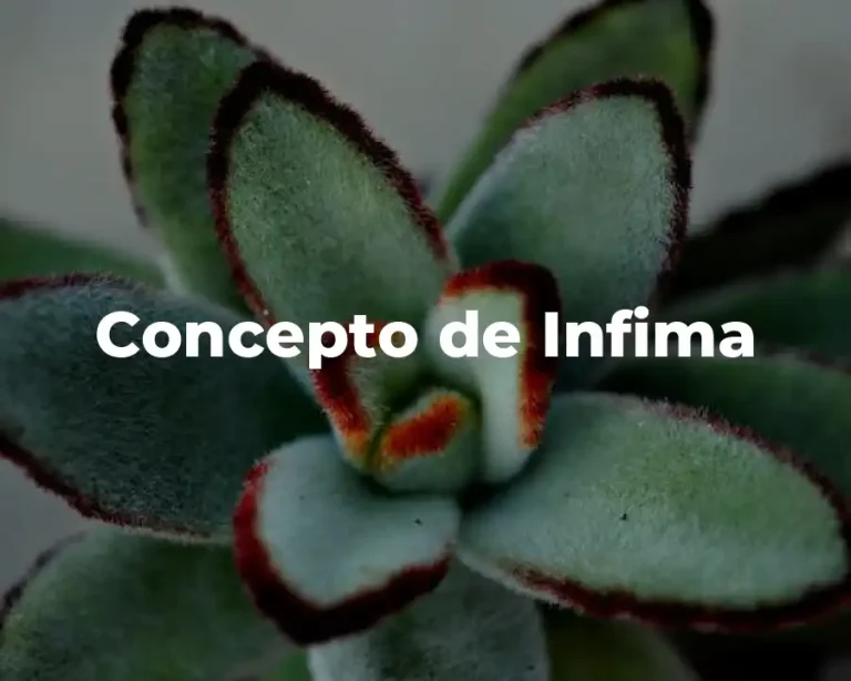 Concepto de Infima