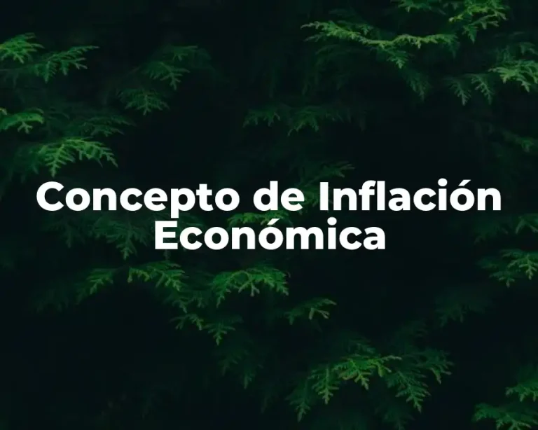 Concepto de Inflación Económica