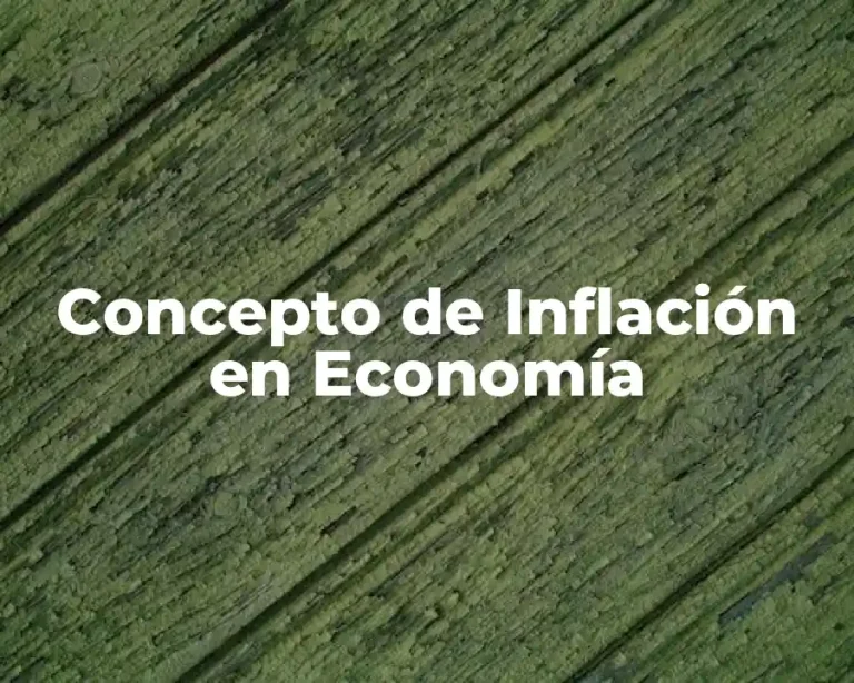 Concepto de Inflación en Economía
